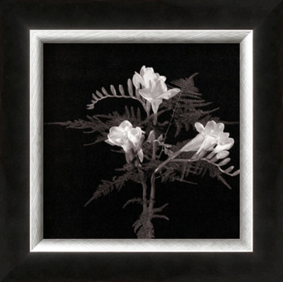 Freesia by Alfred Gockel Pricing Limited Edition Print image