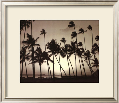 Platinum Palms I by Michael Neubauer Pricing Limited Edition Print image