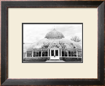 Conservatory Iii by Laura Denardo Pricing Limited Edition Print image