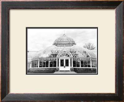 Conservatory Iii by Laura Denardo Pricing Limited Edition Print image