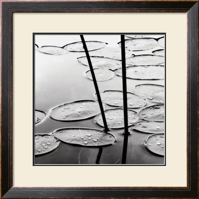 Lily Pads, Dusk by David Gray Pricing Limited Edition Print image