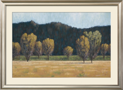 Cottonwood Country Ii by John Macnab Pricing Limited Edition Print image