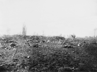 Battle Of Neuve Chapelle 1915 by Robert Hunt Pricing Limited Edition Print image