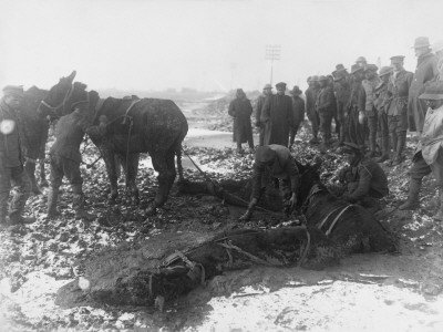 Battle Of Messines Ridge 1917 by Robert Hunt Pricing Limited Edition Print image