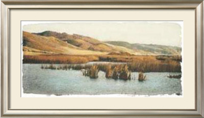 Estuary Ii by Amy Melious Pricing Limited Edition Print image