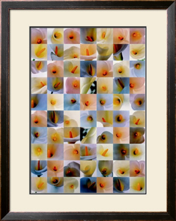 Lilies by Eric Ritter Pricing Limited Edition Print image