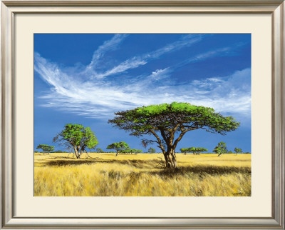 Kalahari Desert by Klaus Dietrich Pricing Limited Edition Print image
