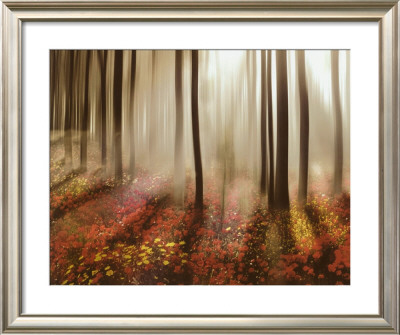 Forest In Pink by Steven Mitchell Pricing Limited Edition Print image