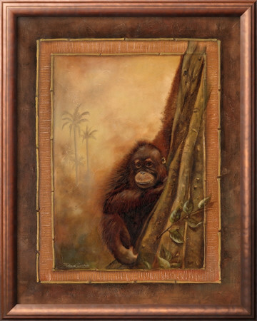 Orangutan Ii by Patricia Quintero-Pinto Pricing Limited Edition Print image
