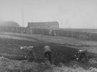 A British Soldier Working With Two German Pows Planting A Garden Near A Prisoner Of War Camp by William Vandivert Pricing Limited Edition Print image