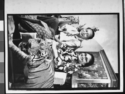 Indonesian Leader Suharto And Wife Madame Tien, Sitting On Couch By Stuffed Tiger by Larry Burrows Pricing Limited Edition Print image