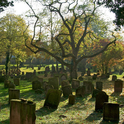 Jewish Cemetery by Allan Hise Pricing Limited Edition Print image