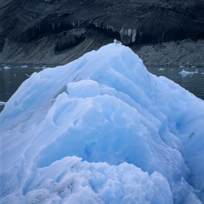 Blue Iceberg by Ove Eriksson Pricing Limited Edition Print image