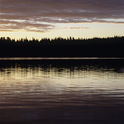 Lake, Forest And Sky by Mikael Andersson Pricing Limited Edition Print image