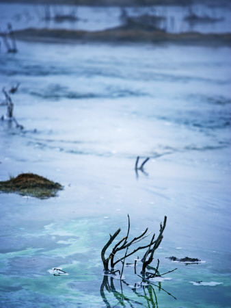 High Water At The End Of Winter, Iceland by Atli Mar Pricing Limited Edition Print image