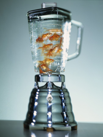 Goldfish In Water In A Blender by Fridrik Orn Hjaltested Pricing Limited Edition Print image