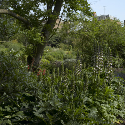 Chelsea Physic Garden, Kensington, London by Richard Bryant Pricing Limited Edition Print image