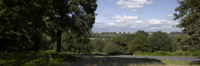 Richmond Park, Richmond, Surrey by Richard Bryant Pricing Limited Edition Print image