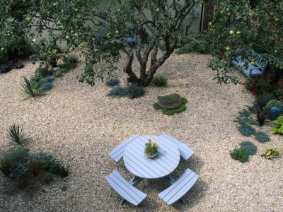Gravel Garden With Garden Furniture And Old Apple Tree, Designer: Clare Matthews by Clive Nichols Pricing Limited Edition Print image