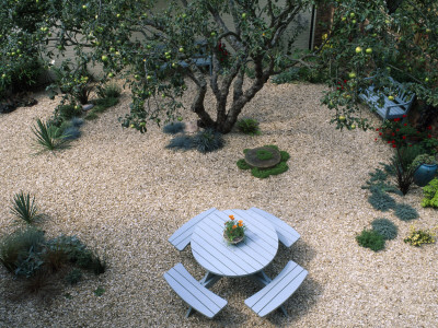 Gravel Garden With Garden Furniture And Old Apple Tree, Designer: Clare Matthews by Clive Nichols Pricing Limited Edition Print image