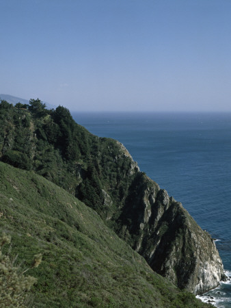 Wild Bird, Big Sur Landscape, California, 1957, Architect: Nathaniel And Margaret Owings by Alan Weintraub Pricing Limited Edition Print image