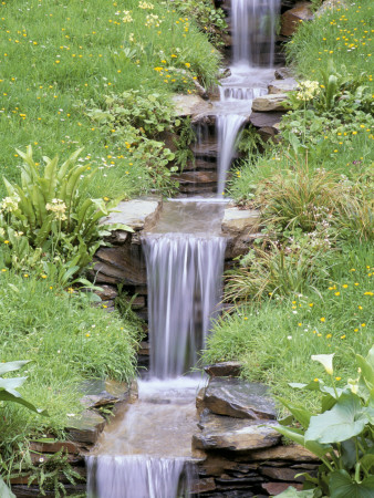 Water Feature: Water Cascades Through Meadow With Primula Pulverulenta And Carex Morrowii, Wyevale by Clive Nichols Pricing Limited Edition Print image