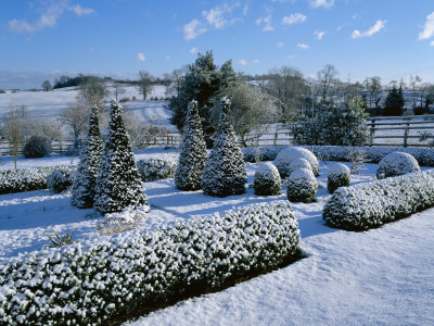 Pettifers Garden, Oxfordshire - Snow Covered Parterre With Box And Yew Shapes, Countryside Beyond by Clive Nichols Pricing Limited Edition Print image