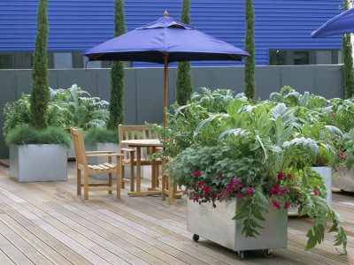 Blue Parasol Shades Table And Chairs With Planting In Galvanised Containers On Decking by Clive Nichols Pricing Limited Edition Print image