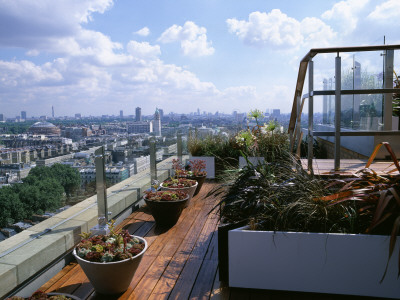 Roof Garden by Clive Nichols Pricing Limited Edition Print image