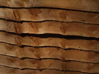 Backgrounds - Detail Of Larch Lap Fencing Panel by Natalie Tepper Pricing Limited Edition Print image