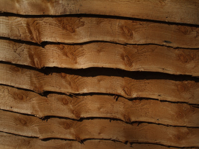 Backgrounds - Detail Of Larch Lap Fencing Panel by Natalie Tepper Pricing Limited Edition Print image
