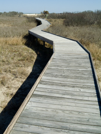 Wooden Beach Walkway, Chincoteague, Virginia by Natalie Tepper Pricing Limited Edition Print image