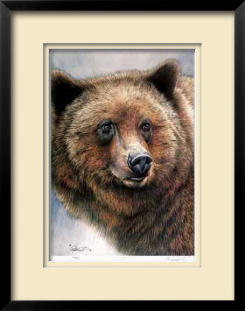 Grizzly Bear by Robert Pow Pricing Limited Edition Print image