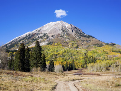 Fork In Country Backroad, Mt. Crested Butte, Colorado, Usa by Terry Eggers Pricing Limited Edition Print image