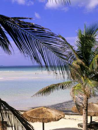 Beach, Isla Mujeres, Mexico by Michael Defreitas Pricing Limited Edition Print image