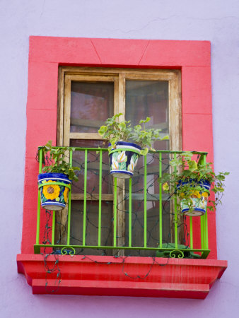 Window With Flower Pots, San Miguel De Allende, Guanajuato State, Central Mexico by Julie Eggers Pricing Limited Edition Print image