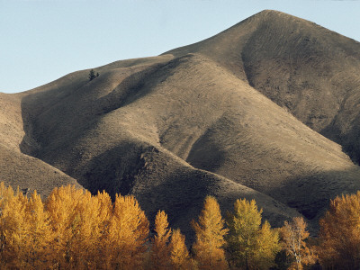 Autumn View Of Hills North Of Salmon, Idaho by Joel Sartore Pricing Limited Edition Print image