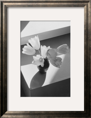 Short Tulips by Lilo Raymond Pricing Limited Edition Print image