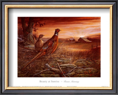 Beauty At Sunrise by Ruane Manning Pricing Limited Edition Print image