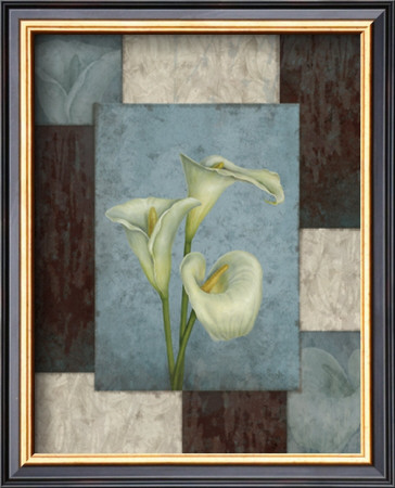 Michelle's Lilies I by Debbie Cole Pricing Limited Edition Print image