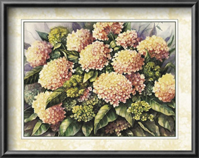 Pink Hydrangea by Peggy Thatch Sibley Pricing Limited Edition Print image