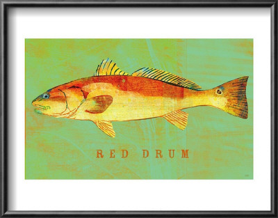 Red Drum by John Golden Pricing Limited Edition Print image