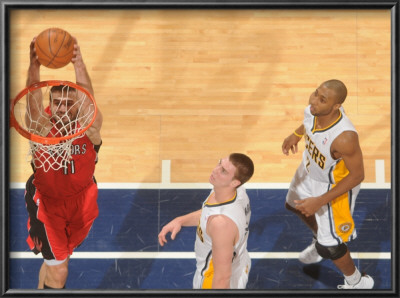 Toronto Raptors V Indiana Pacers: Linas Kleiza, Tyler Hansbrough And A. J. Price by Ron Hoskins Pricing Limited Edition Print image