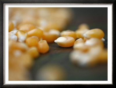 Kernels Close Up Ii by Nicole Katano Pricing Limited Edition Print image