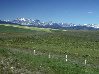 View Of The Canadian Rockies Across A Green Plain, With Fence by Stephen Sharnoff Pricing Limited Edition Print image