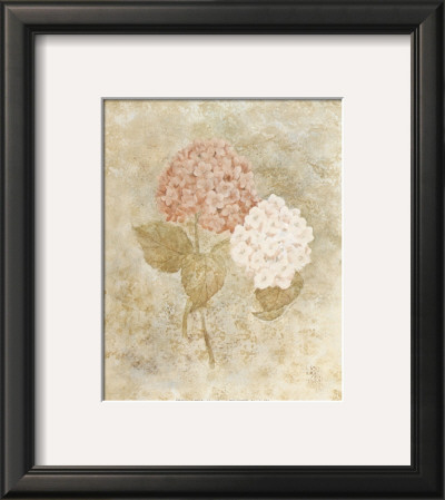 Hydrangea by Valerie Wenk Pricing Limited Edition Print image
