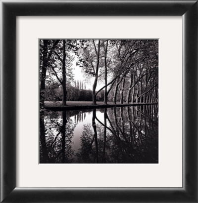 Alle'e D'honneur, Coarances, France by Michael Kenna Pricing Limited Edition Print image