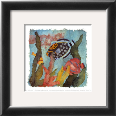 Tropical Fish I V by Linn Done Pricing Limited Edition Print image