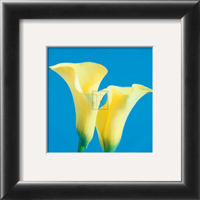 Lily Bloom V by Bill Philip Pricing Limited Edition Print image