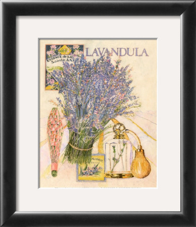La Belle Provencale Ii by Laurence David Pricing Limited Edition Print image